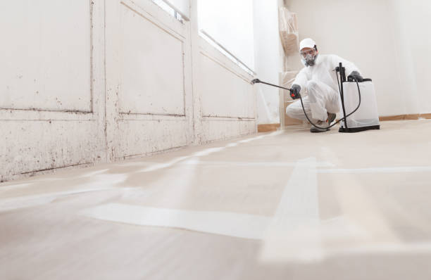 24/7 Emergency Attic Mold Removal experts in Denton, NC
